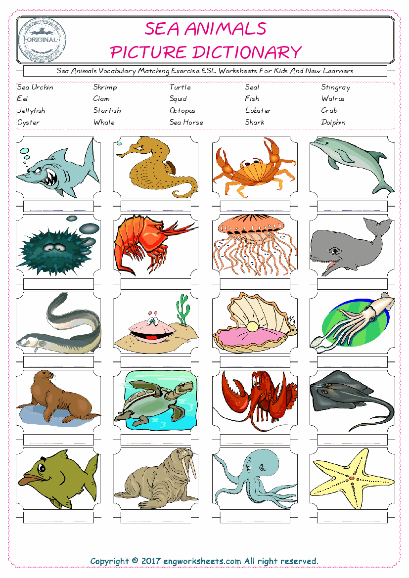  Sea Animals for Kids ESL Word Matching English Exercise Worksheet. 